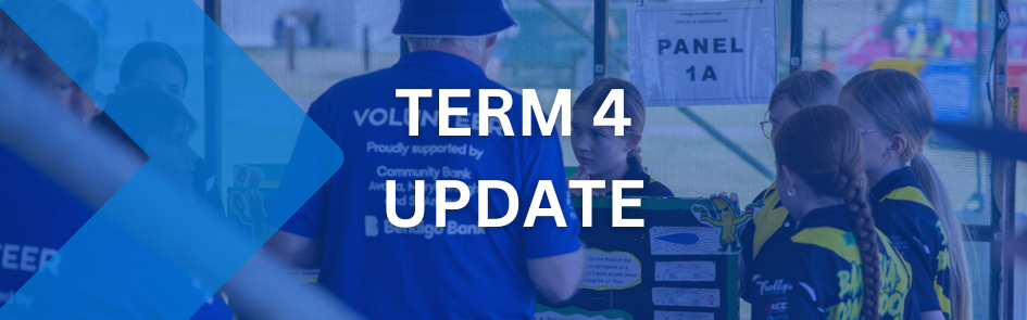 Term 4 Update banner